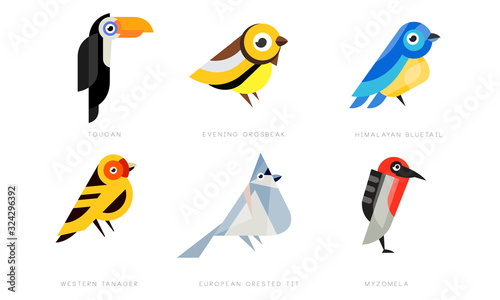 Colorful Stylized Birds Collection, Toukan, Evening Grosbeak, Himalayan Bluetail, Western Tanager, European Crested Tit, Myzomela Vector Illustration on White Background