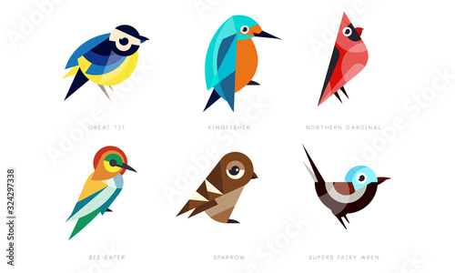 Colorful Stylized Birds Collection, Great Tit, Kingfisher, Northern Cardinal, Bee Eater, Sparrow, Superb Fairy Wren Vector Illustration on White Background