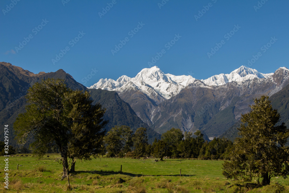Fototapeta premium Franz Josef Glacier
