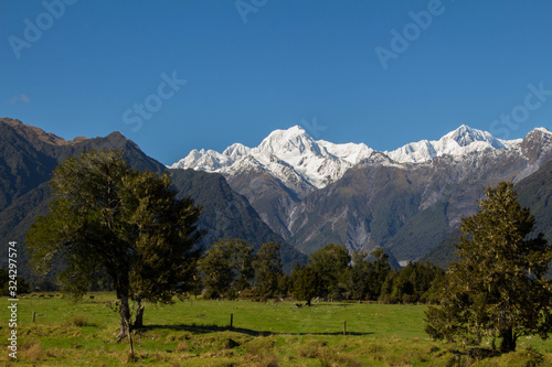 Franz Josef Glacier