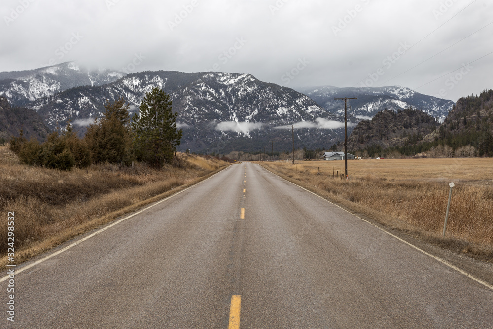 Naklejka premium Empty roadway between grass fields leading to snow covered mountain range