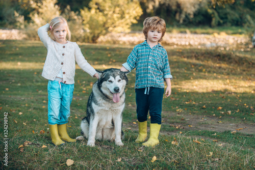 Kids with cute dog. Boy and girl playing with his dog on the lawn in the park. Full length portrait. © Volodymyr