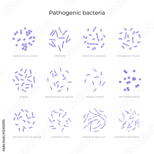 Vector illustration of pathogenic bacteria 