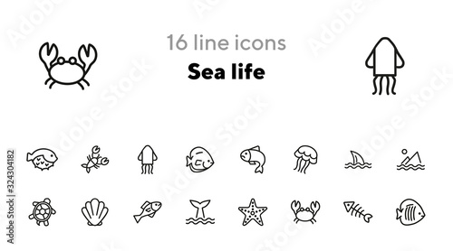 Sea life line icon set. Fish, shark, turtle. Wildlife concept. Can be used for topics like seafood, ecology, fishing