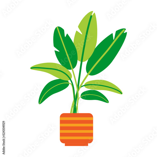 Plant in Pot Vector Illustration