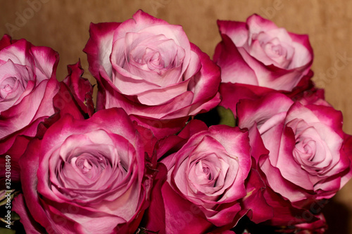 Pink rose buds for the background. Magic bouquet.