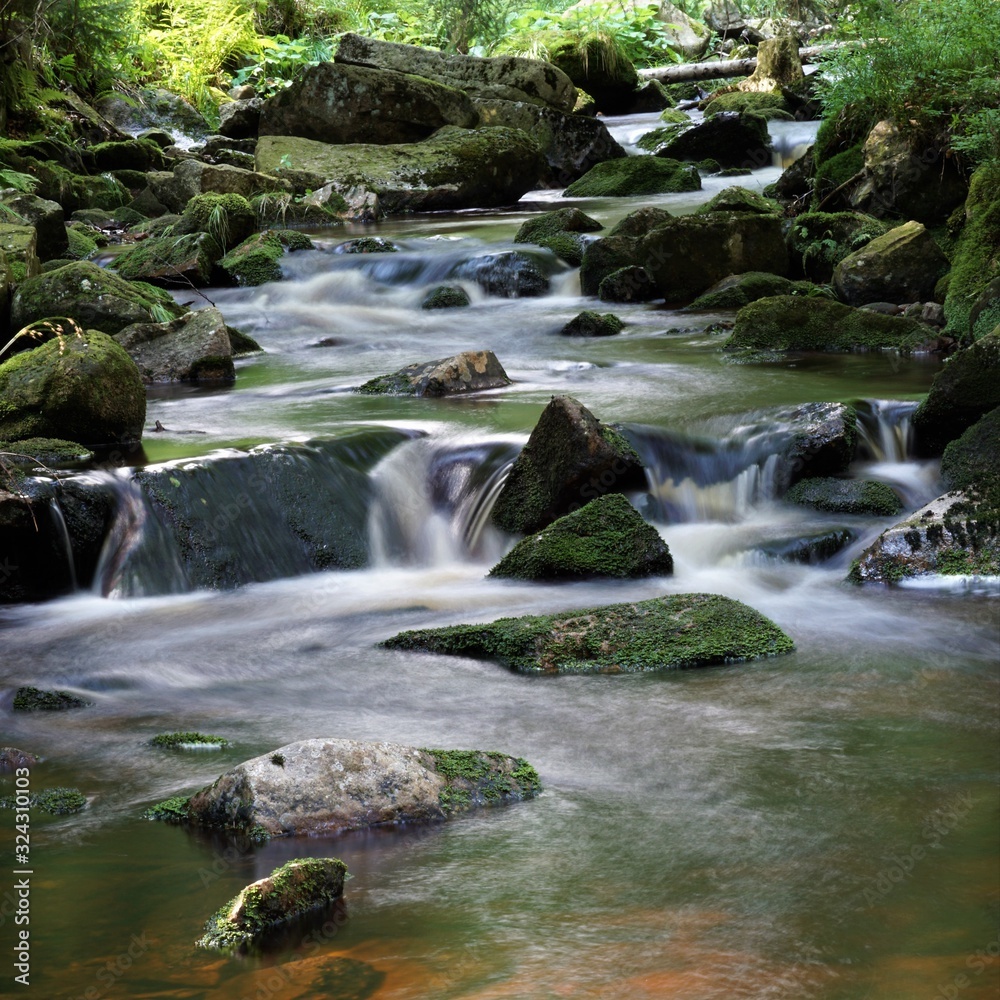 Fototapeta premium Bodewasserfälle Bachlauf mit kleinen Wasserfällen im Nationalpark Harz