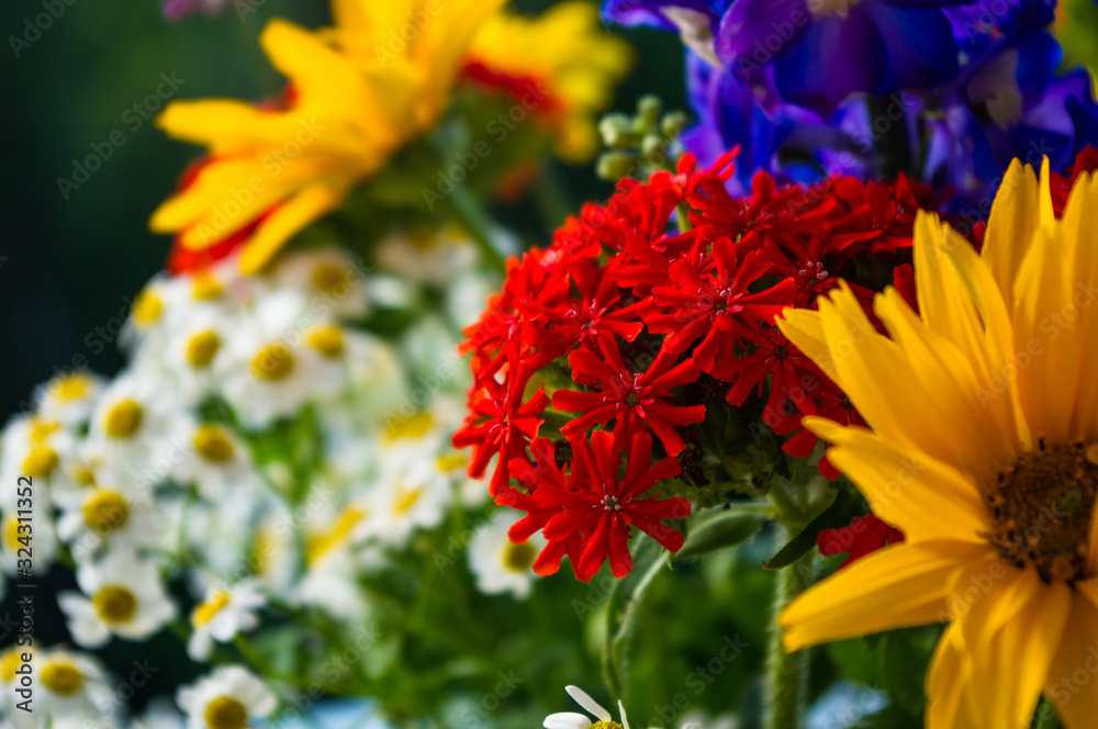 a bouquet of bright spring flowers of various types a bouquet of bright spring flowers of various types