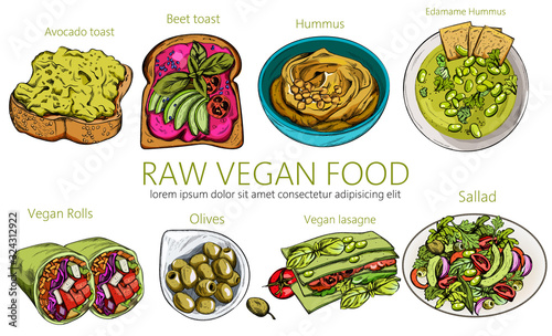 Organic set of raw vegan food. Hummus, beat and avocado toast, rolls, olives, lasagna, salad. Place for text. Line art. Vector