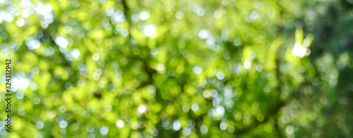 Spring background - abstrac...