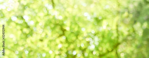 Spring background - abstrac...