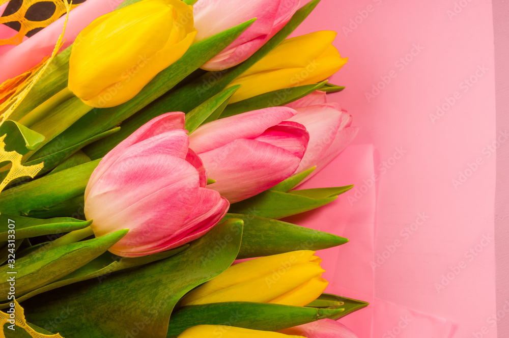 Background for a greeting card - a bouquet of fresh pink and yellow tulips