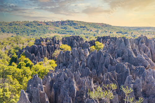 Tsingy de Bemaraha National Park, Madagascar photo