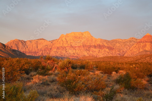 rock formation in the warm light of sunrise in the red rock Canyon