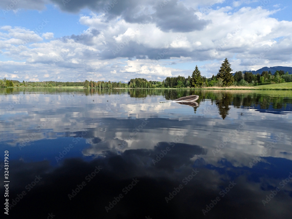 Fototapeta premium Landschaftsaufnahme von einem See mit einer Entenfeder mit bewölktem Himmer kurz über der Wasseroberfläche