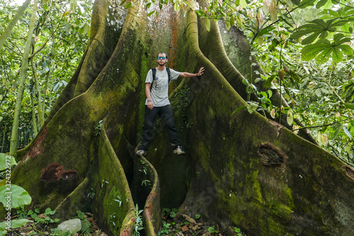 Man standing on a Ceiba trunk tree