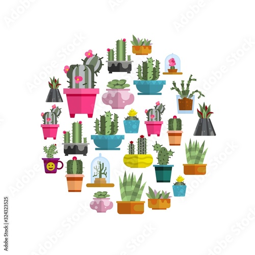 Cartoon cactuses and succulents in circle on white background, vector illustration. Different cacti and succulents with thorns, flowers, leaves and pots. Poster in simple flat style.