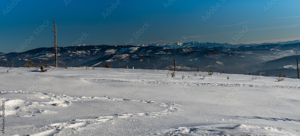 view from Wierch Wiselka near Barania Gora hill in winter Beskid Slaski mountains in Poland