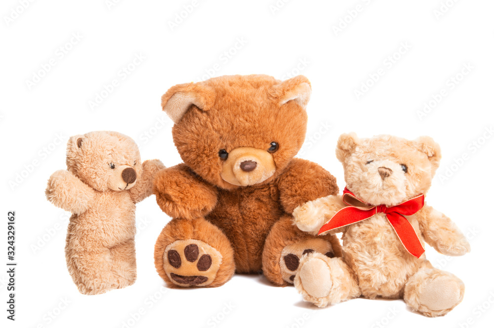 toy teddy bear isolated toy teddy bear isolated