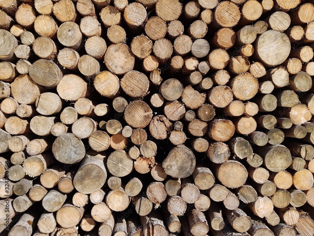 Fototapeta premium stack of firewood