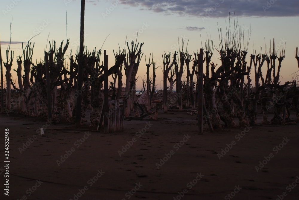 Epecuen Epecuen