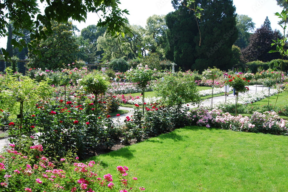 Naklejka premium Insel Mainau - Die Blumeninsel im Bodensee
