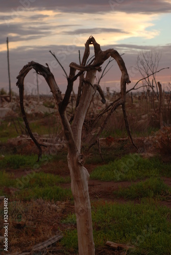 Epecuén photo