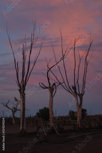 Epecuen photo