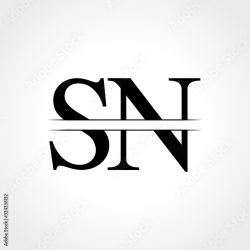 Initial Letter SN Logo Design Vector Template. SN Letter Logo Design