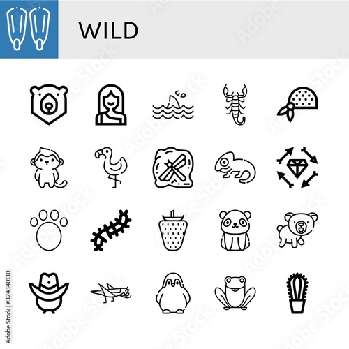 wild icon set