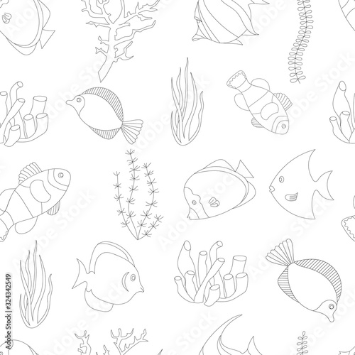 tropical fish and algae seamless pattern on white background, vector