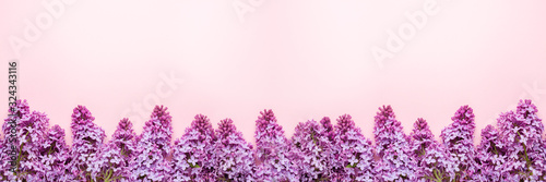 Branches of lilac on pink background. White and purple lilac. Romantic spring mood. Top view. Copy for your text