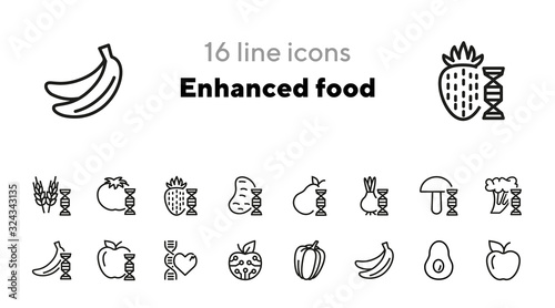 Enhanced food line icon set. Genetically modified fruit, vegetables, wheat. Food concept. Can be used for topics like biotechnology, farming, science