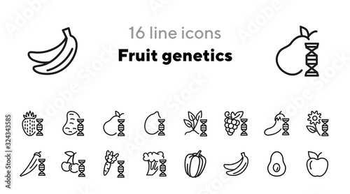 Fruit genetics line icon set. Eggplant, lemon, dna spiral, vegetables. Food concept. Can be used for topics like genetics, agriculture, GM food
