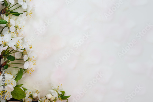 Cherry flower on blurred background, .spring background; top view