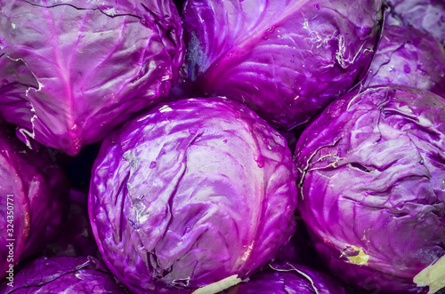 Stacked of organic red cabbage heads close-up at farmer market in Washington, USA photo