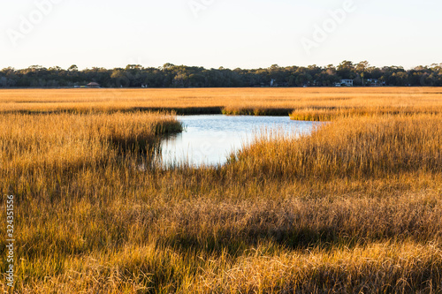 View across the salt marshes and wildlife reserve on a coastal island.,St Simon's Island