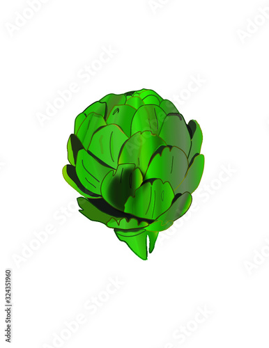 Realistic Artichoke drawing with shading and detailed drawing detail. A illustration of a healthy food- artichoke