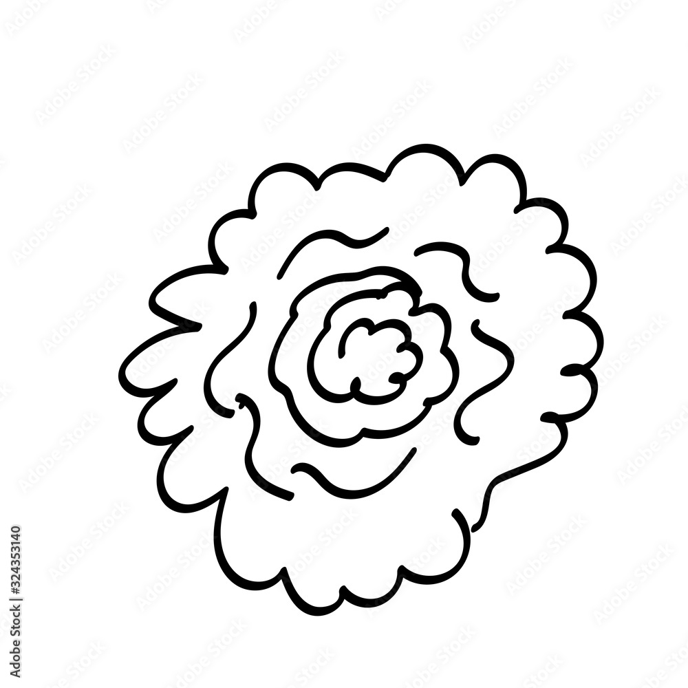 Single doodle outlne flower, leaf, plant, twig. Vector. doodle clipart. Isolated on a white background. For design, cards, invitation, decoration, stickers. Single doodle outlne flower, leaf, plant, twig. Vector. doodle clipart. Isolated on a white background. For design, cards, invitation, decoration, stickers.