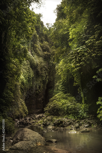 Gorge with rocky vaults covered with lush foliage plants nearby beautiful Bali waterfall Sekumpul in tropical forest on Bali Indonesia 