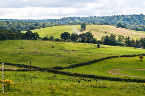 Rolling hill in summer near Guildford  Surrey  England  UK