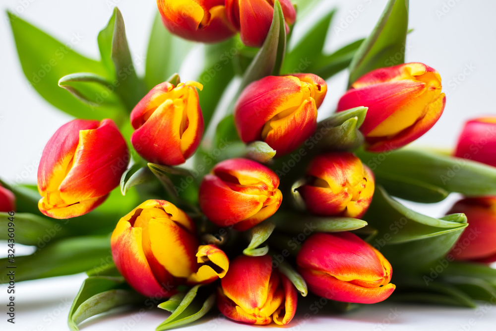 Fototapeta premium Beautiful tseti tulips and roses on a light background