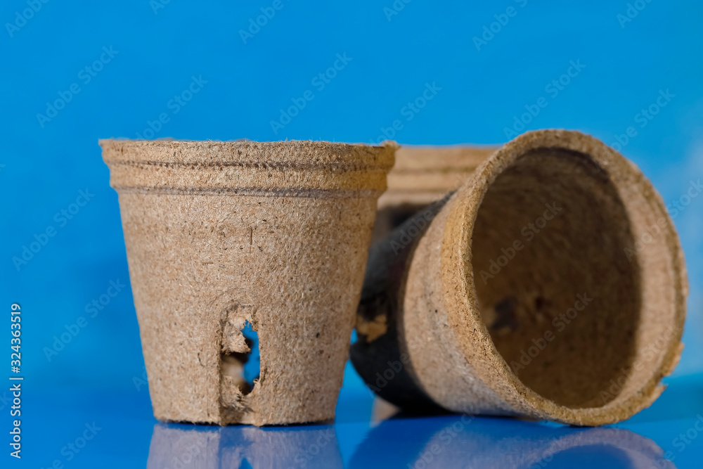 Naklejka premium Empty plant pots