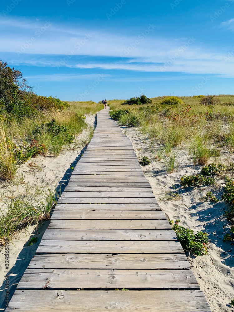 Fototapeta premium Wooden pathway through sandy dunes at the beach in the summer
