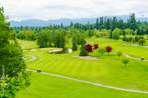 Golf course with gorgeous green and pond.