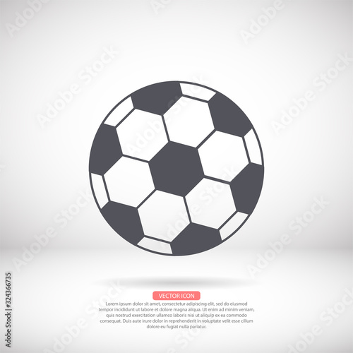 Soccer ball vector icon   lorem ipsum Flat design