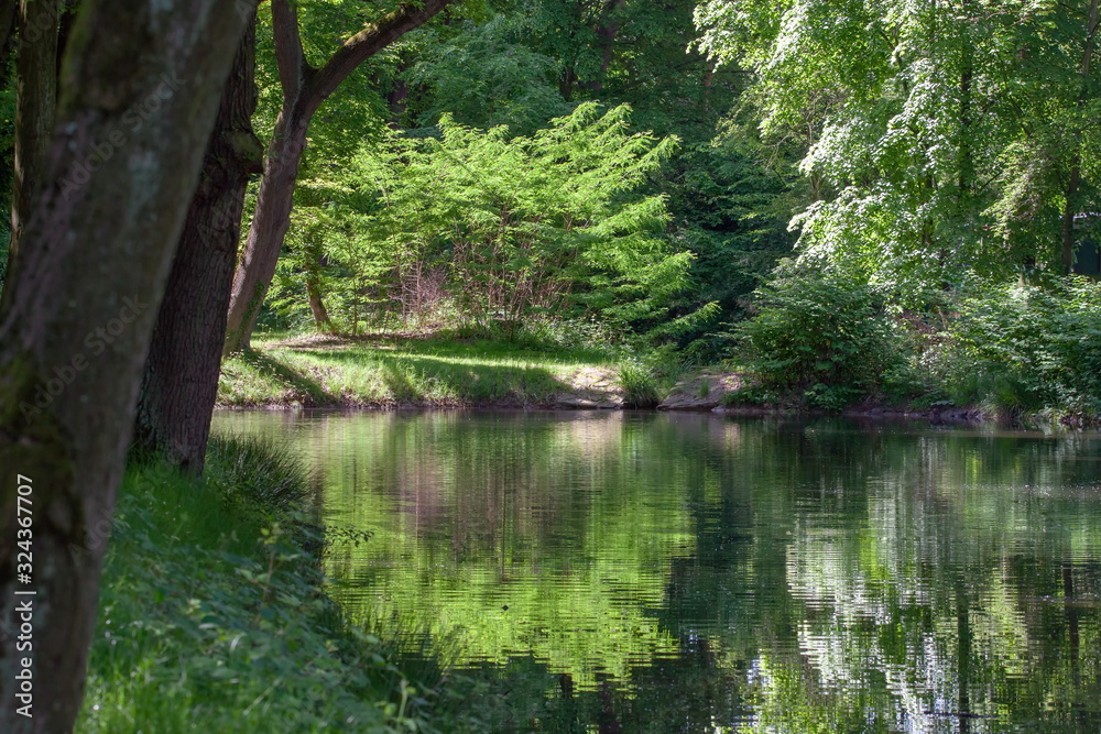 Fototapeta premium Teich und Bäume