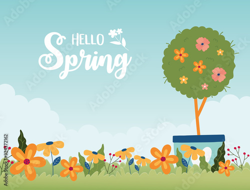 happy spring potted tree flowers garden floral grass