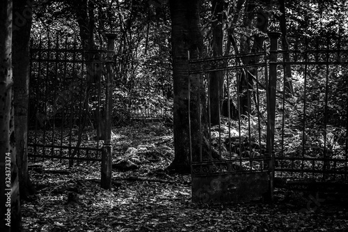 Dortmund vergessener Friedhof 