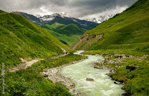 Beautiful summer landscape of the Shkhara Glacier valley with Inguri river and snowcapped Caucasus peaks covered in clouds. Upper Svaneti, Georgia.